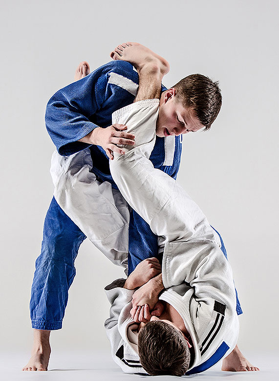 judo banner