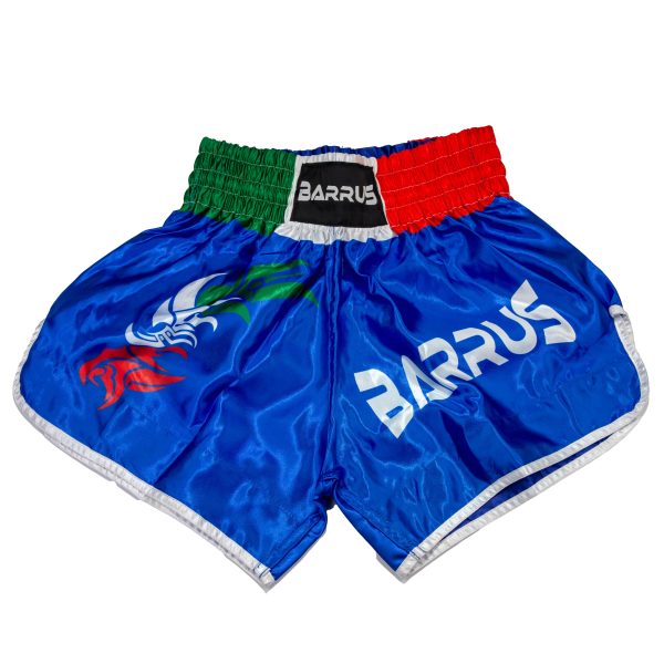 Shorts Thai ITALY flag Barrus