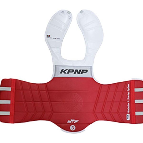 CORAZZA ELETTRONICA KPNP