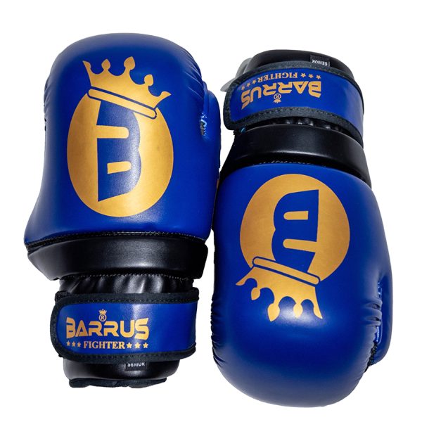 Guanti Point fighting Barrus WAKO Omologato