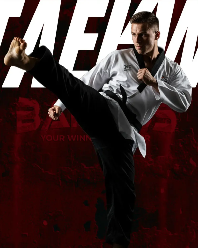 taekwondo barrus