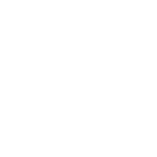 wako logo