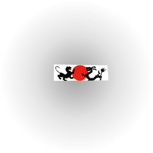 Fascia capelli drago e tigre