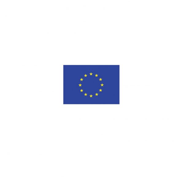 Bandiera Comunità Europea