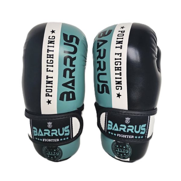 Guanti Point fighting Barrus Multicolor WAKO Omologati